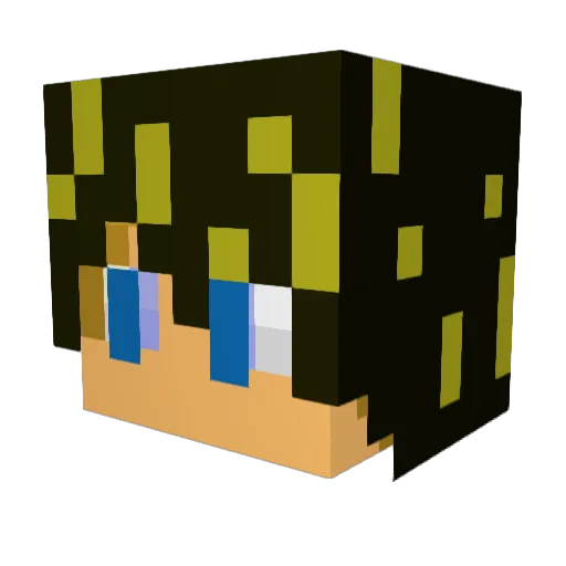starblazer13579 Minecraft avatar head, 3D render