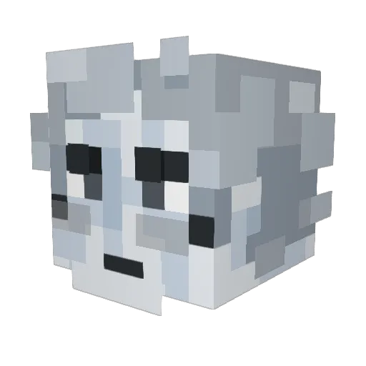 starbooster Minecraft avatar head, 3D render