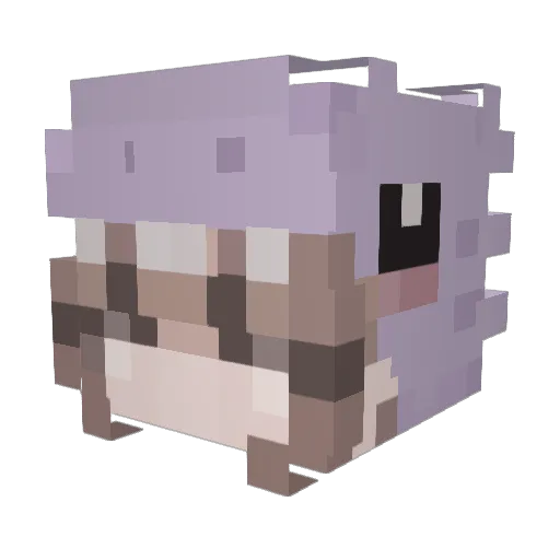 starboughtcandy Minecraft avatar head, 3D render