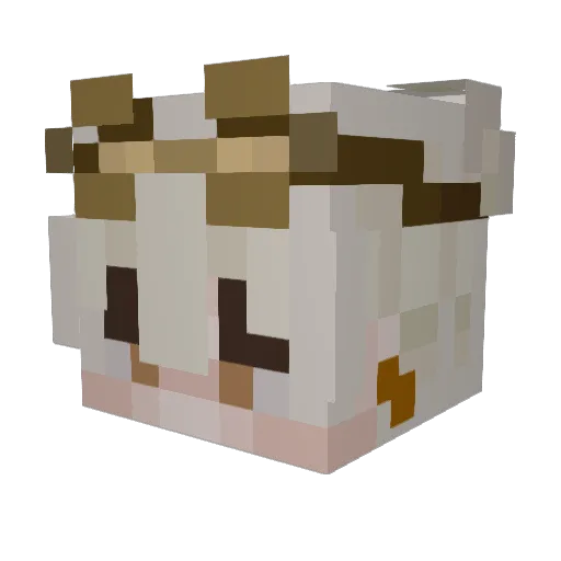 starbrunch Minecraft avatar head, 3D render