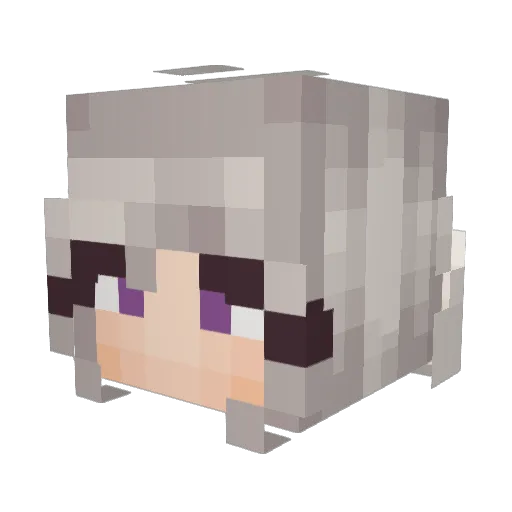 starcatto Minecraft avatar head, 3D render