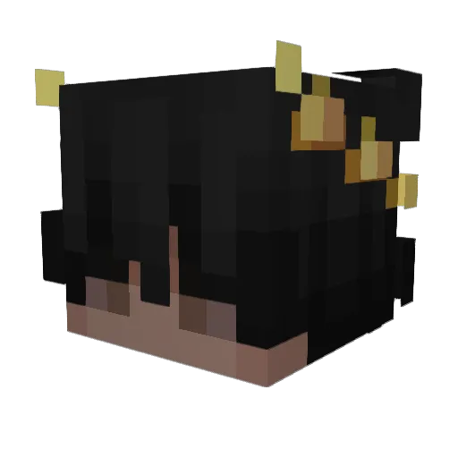 starczj Minecraft avatar head, 3D render