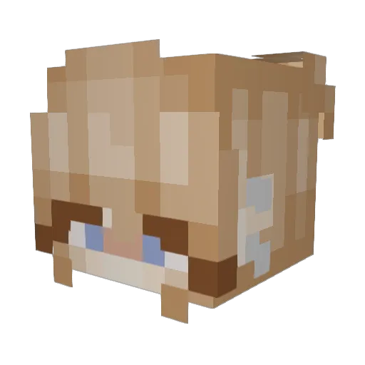 stardewaddy Minecraft avatar head, 3D render