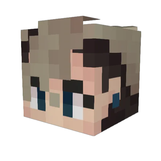 stardust1341 Minecraft avatar head, 3D render