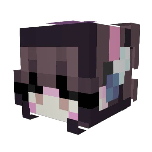 starfire1016 Minecraft avatar head, 3D render
