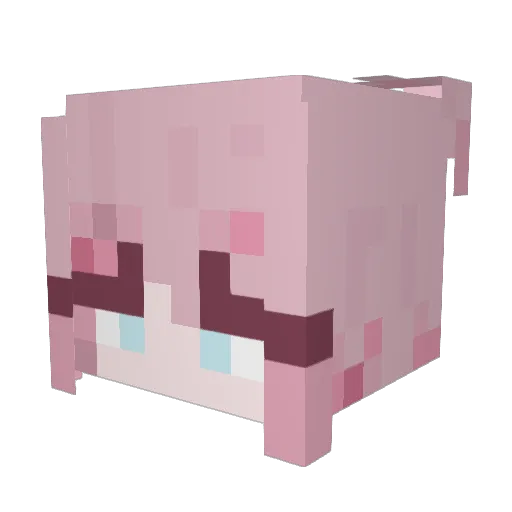 starfire8877 Minecraft avatar head, 3D render