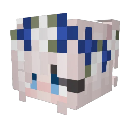 starfirereese Minecraft avatar head, 3D render