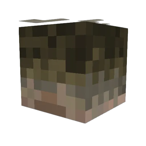 starfish253 Minecraft avatar head, 3D render