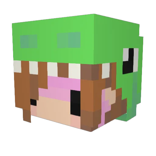 starfish8 Minecraft avatar head, 3D render