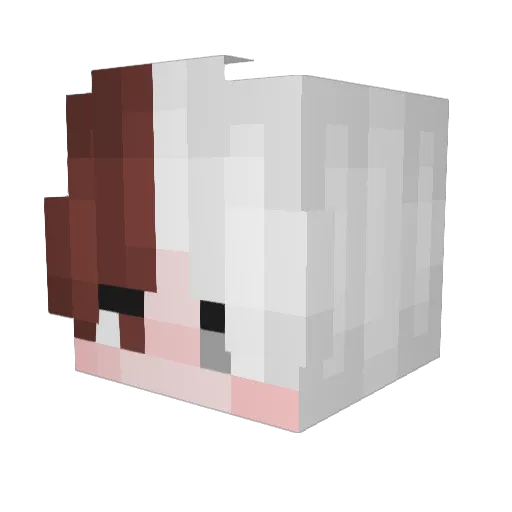 starfish912 Minecraft avatar head, 3D render
