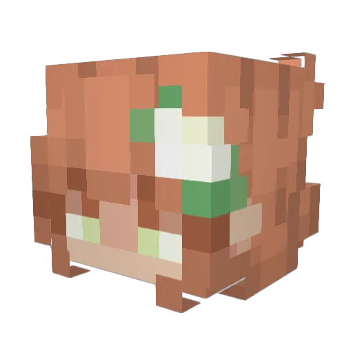 starflyette Minecraft avatar head, 3D render