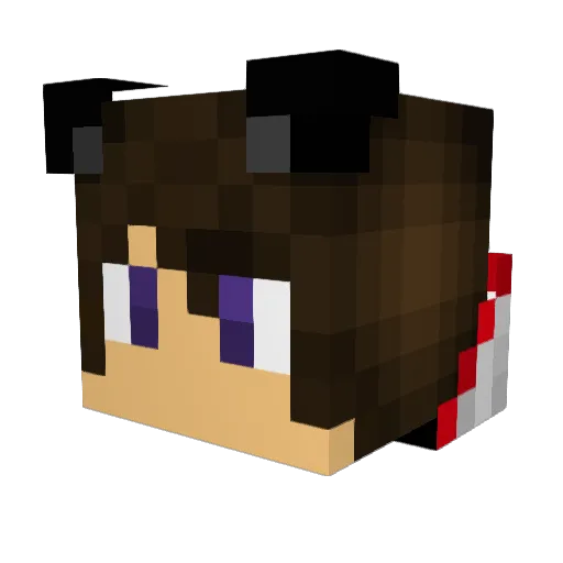 starfox104 Minecraft avatar head, 3D render