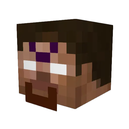 stargamer13 Minecraft avatar head, 3D render
