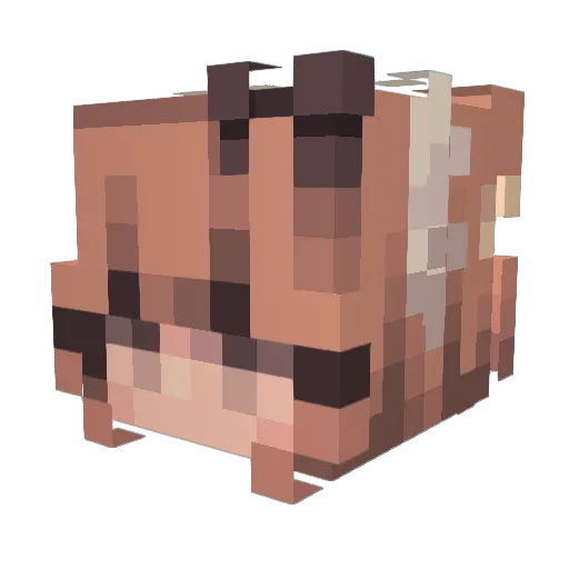 stargayle Minecraft avatar head, 3D render