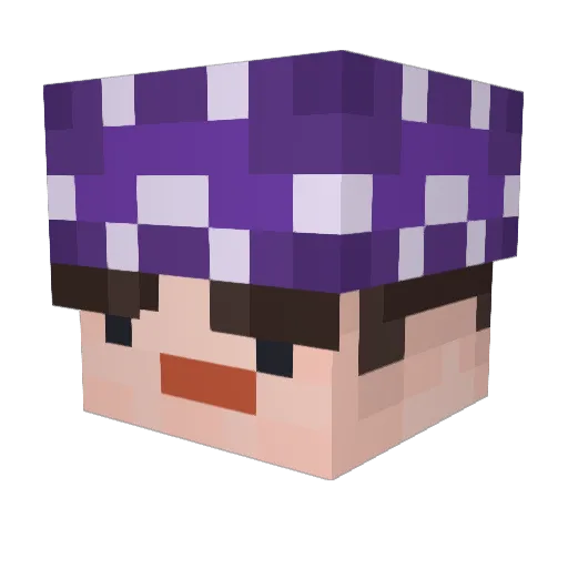 stargazingggg Minecraft avatar head, 3D render