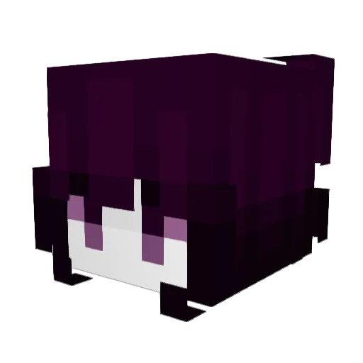 stargazxng Minecraft avatar head, 3D render