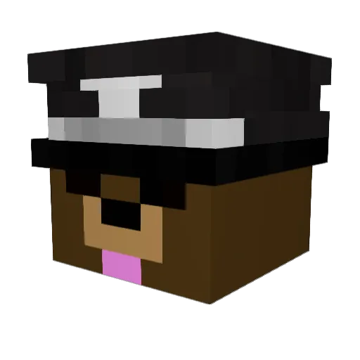 stargern Minecraft avatar head, 3D render
