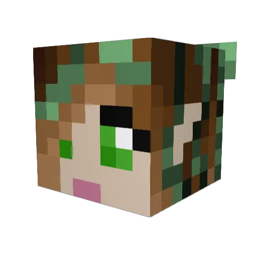 stargirl357 Minecraft avatar head, 3D render
