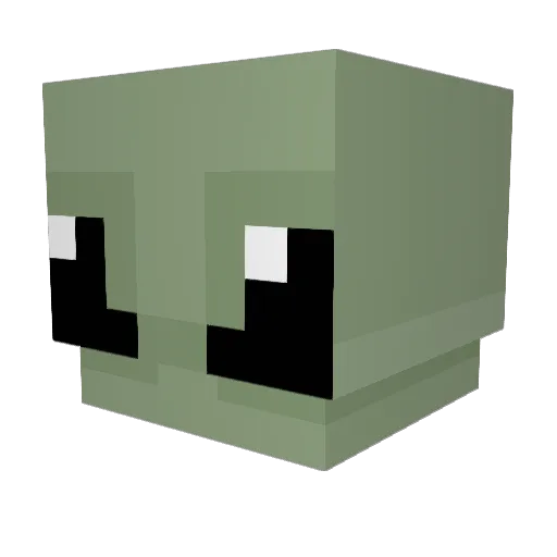 stargirl_09 Minecraft avatar head, 3D render