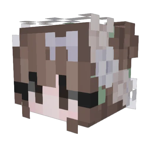 stargirl_TTV Minecraft avatar head, 3D render