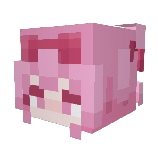 stariforce Minecraft avatar head, 3D render