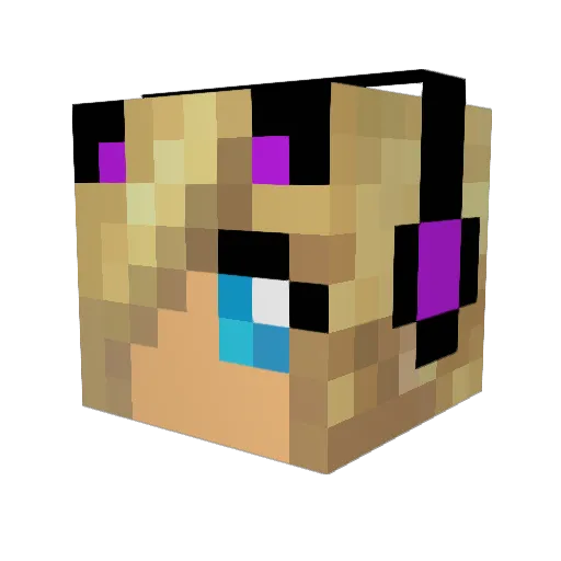 starjump4 Minecraft avatar head, 3D render