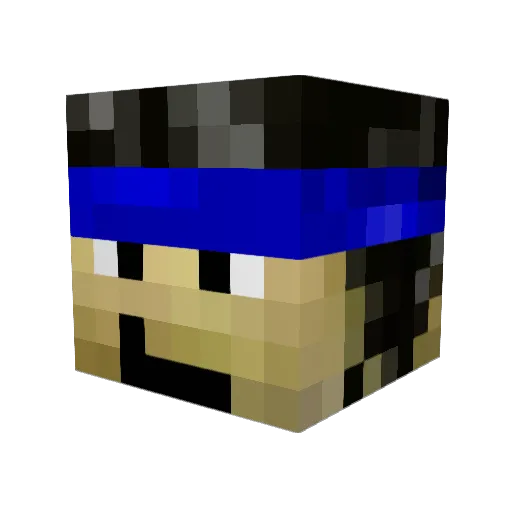 starkiller02 Minecraft avatar head, 3D render
