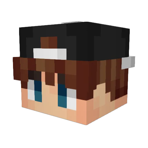 starkillerjdw Minecraft avatar head, 3D render