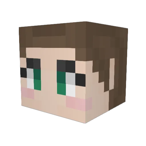 starlight082420 Minecraft avatar head, 3D render