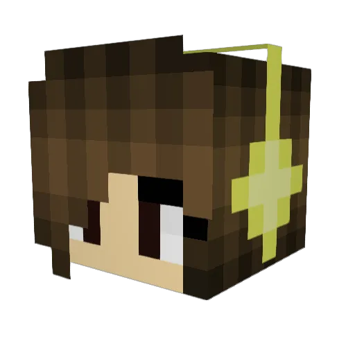 starlight1904 Minecraft avatar head, 3D render