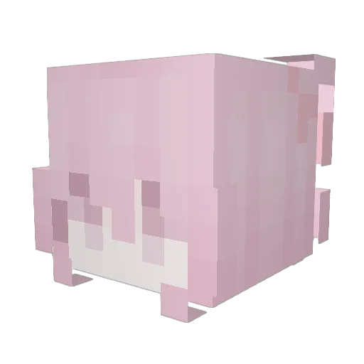 starlight_pmoure Minecraft avatar head, 3D render