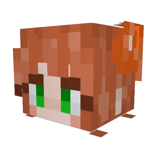 starlightberry Minecraft avatar head, 3D render