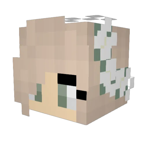 starlightseller Minecraft avatar head, 3D render