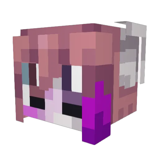 starlikestylus Minecraft avatar head, 3D render