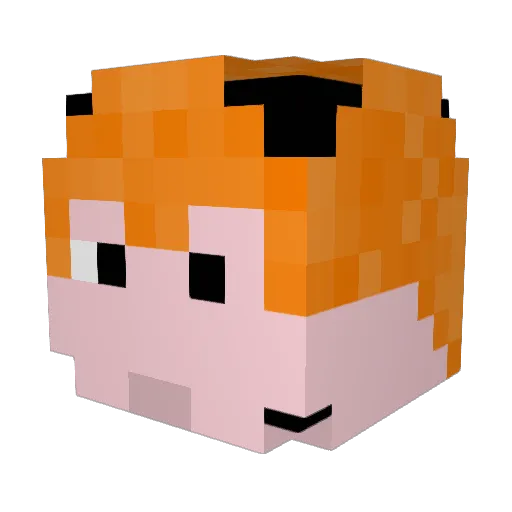 starlimgo11 Minecraft avatar head, 3D render