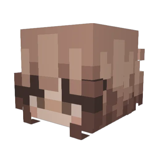 starlump Minecraft avatar head, 3D render
