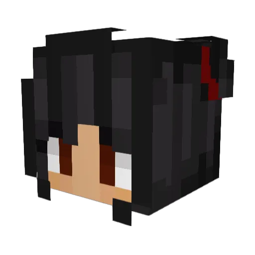 starmaster09 Minecraft avatar head, 3D render