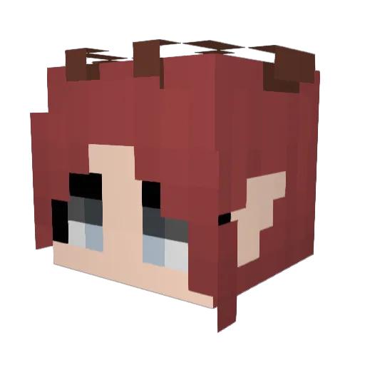 starmidnight Minecraft avatar head, 3D render