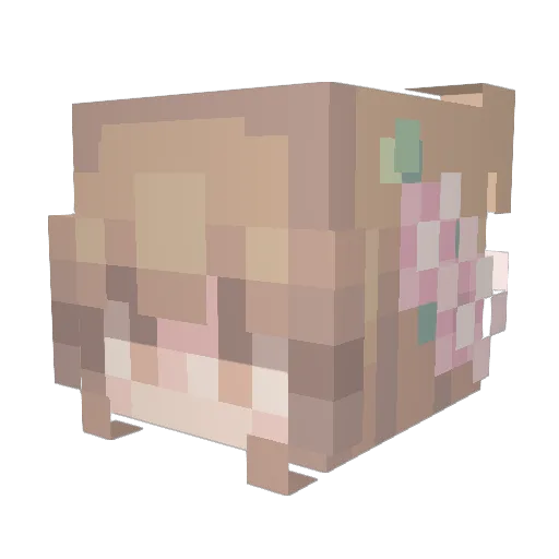 starmuffin87 Minecraft avatar head, 3D render