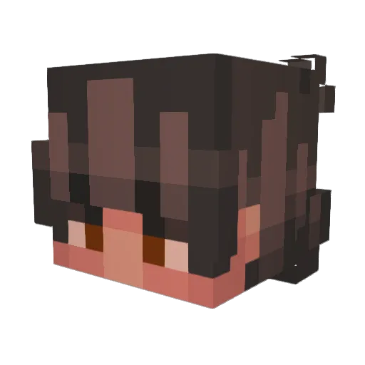 starnight6543 Minecraft avatar head, 3D render