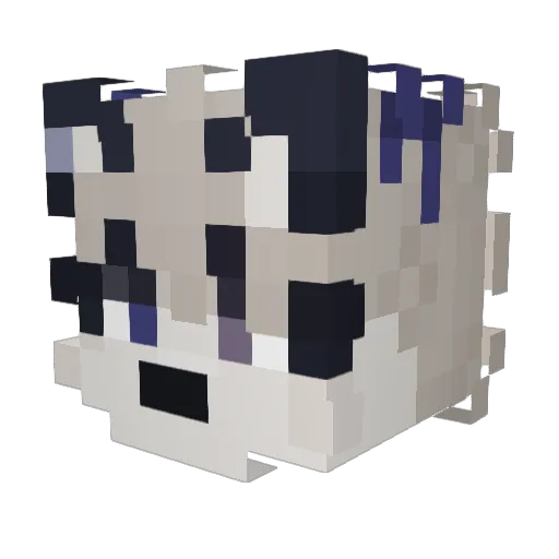 starnyas Minecraft avatar head, 3D render