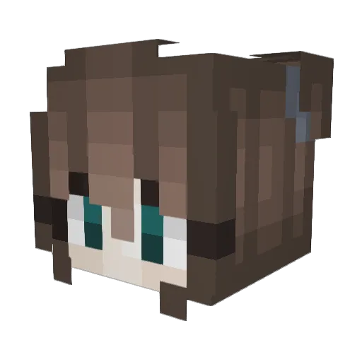starofthelid Minecraft avatar head, 3D render