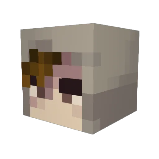 starr_struck Minecraft avatar head, 3D render