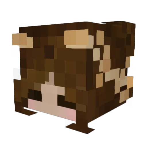 starrfruiit Minecraft avatar head, 3D render