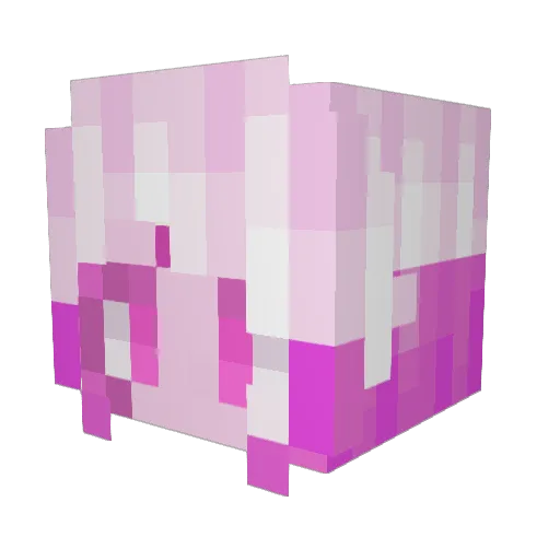 starrfysh Minecraft avatar head, 3D render