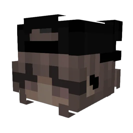 starri420 Minecraft avatar head, 3D render