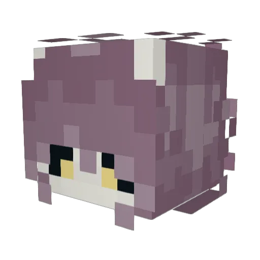 starri_daize Minecraft avatar head, 3D render