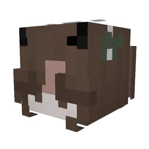 starrii Minecraft avatar head, 3D render