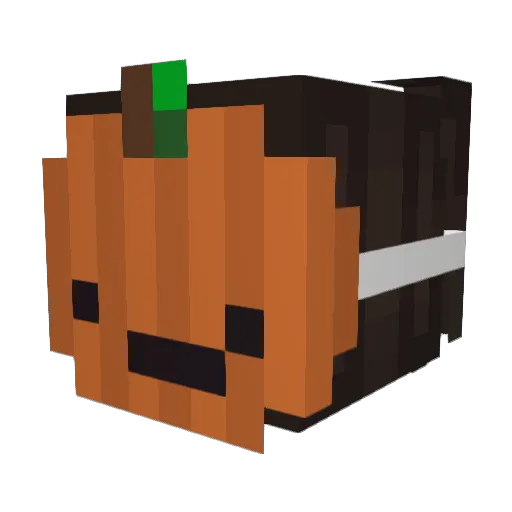starry42 Minecraft avatar head, 3D render