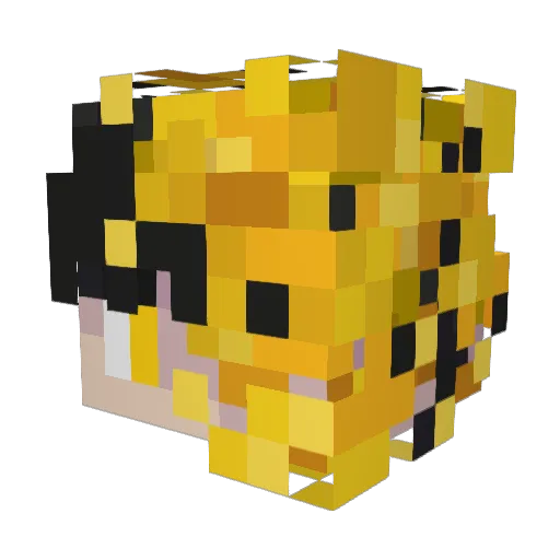 starry4evr Minecraft avatar head, 3D render